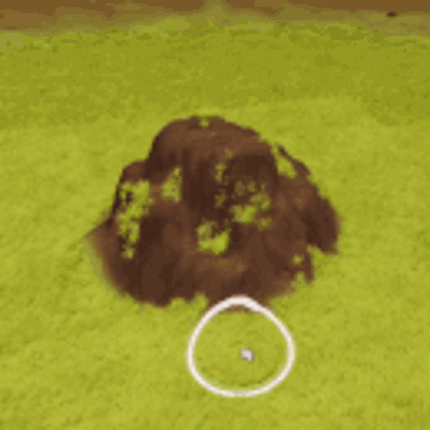 PONDLINGS screenshot