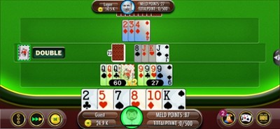 Rummy 500 Plus Image