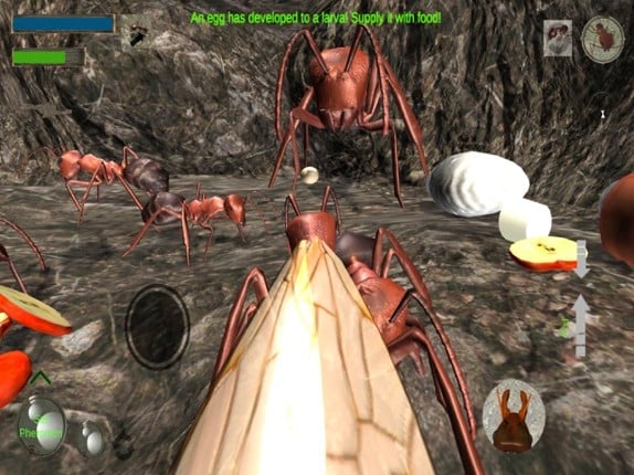 Ant Simulation Full screenshot