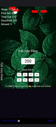 Fall into Flow Image