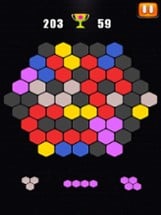 Hexa Puzzle - Block Puzzle Pro Image