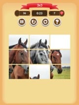 Horses - Sliding Puzzle Image