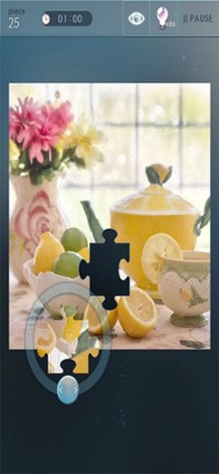 Jigsaw Puzzle World Image