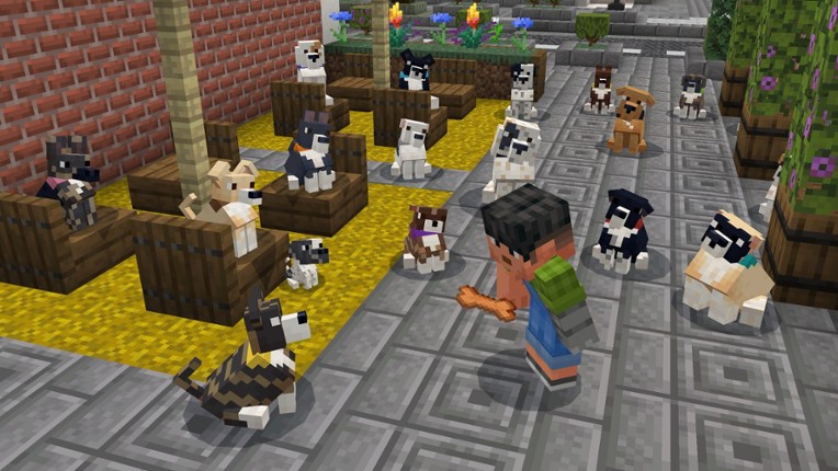 Minecraft for Windows Deluxe Collection Image