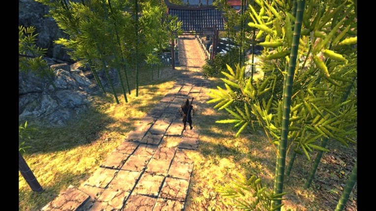 Ninja Combat : Samurai Warrior screenshot