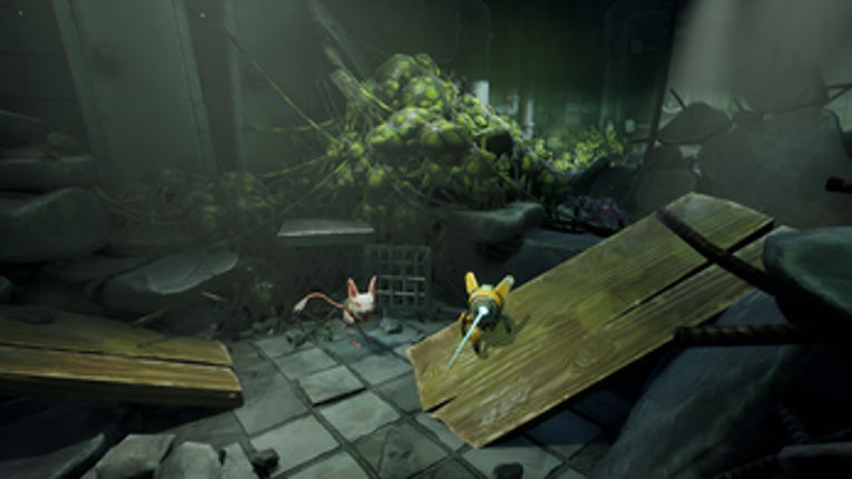 Wires and Whiskers 2025 Image