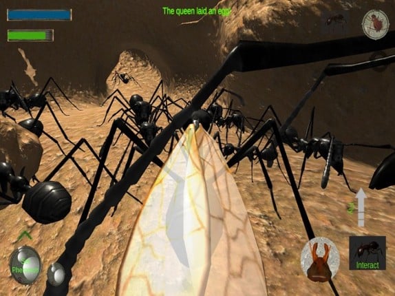 Ant Simulation Full screenshot