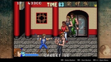 Double Dragon Advance Image