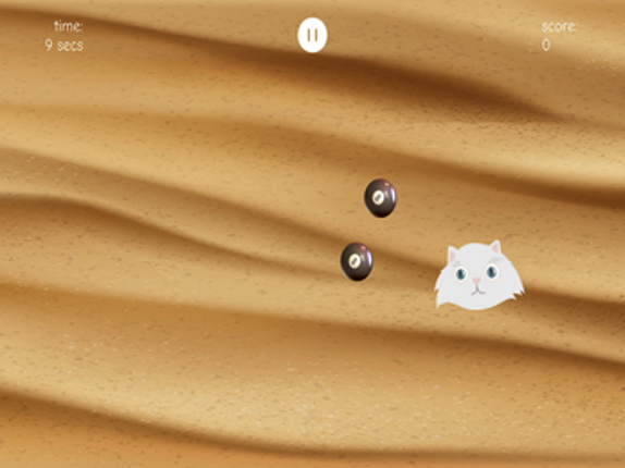 Catnip Tricks Image