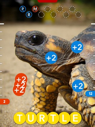 Osmo Words Classic screenshot