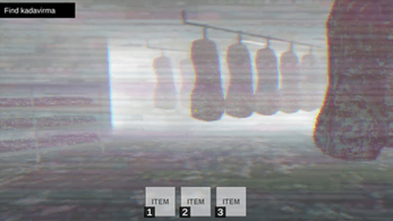 Pikabuu The Frozen Food screenshot