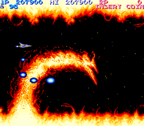 Salamander Image