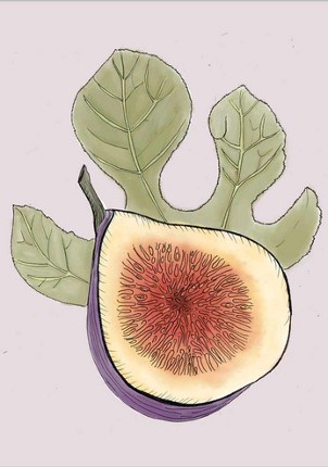 Una planta en el jardin screenshot