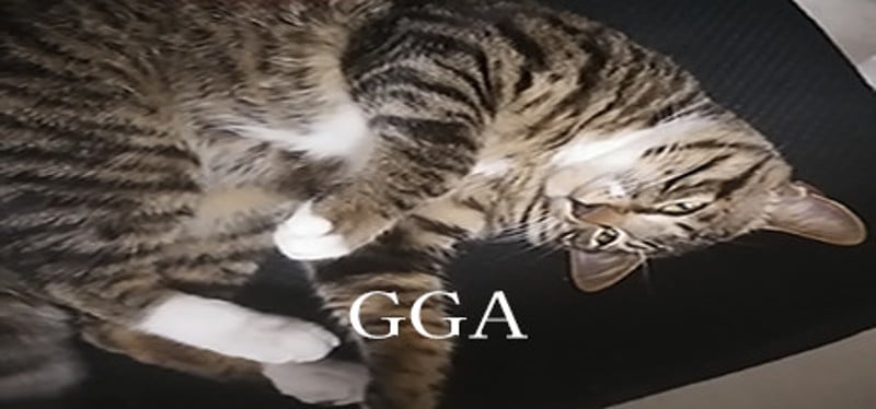 GGA Image