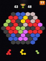 Hexa Puzzle - Block Puzzle Pro Image