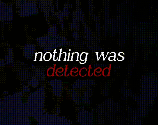 Nothing Was Detected Image