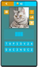 Animals Quiz - Vocabulary Game for kids Image