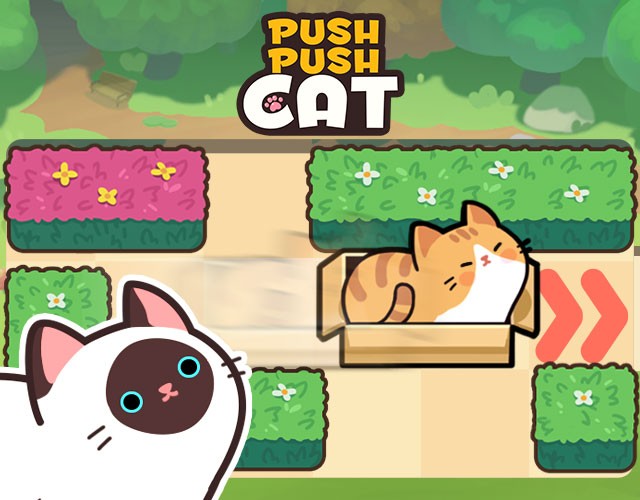 Games like Push Push Cat