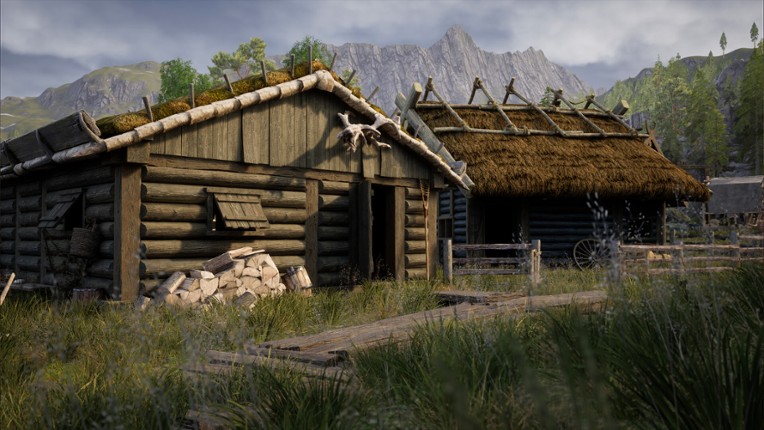 Vikings Dynasty screenshot