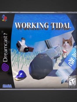 WORKING TIDAL Image