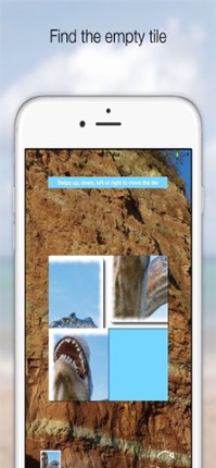 Best 2x2 Dinosaur Slide Puzzle Image