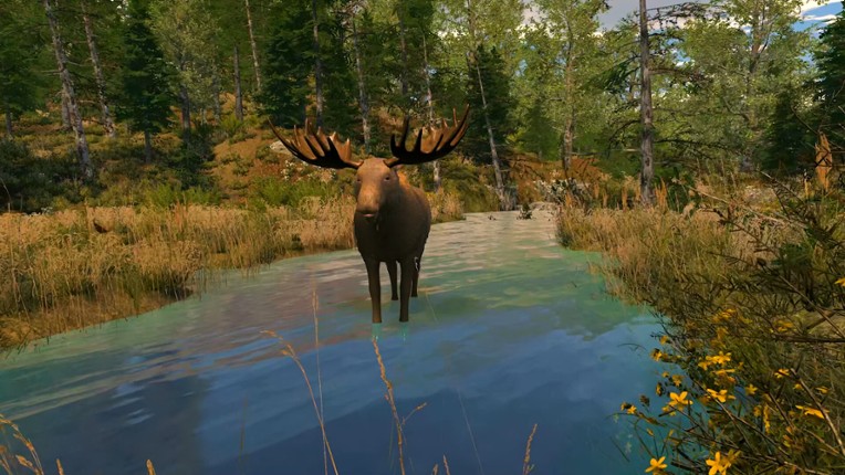 Capture The Wild screenshot