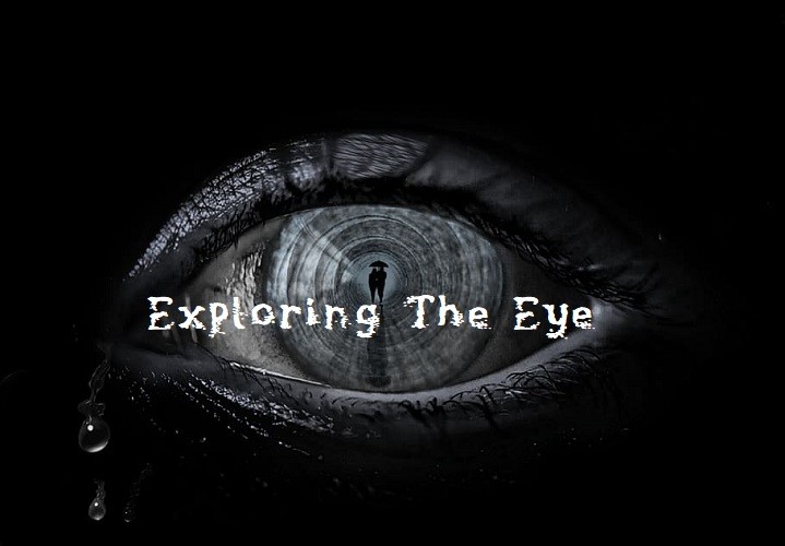 Games like Exploring the Eye