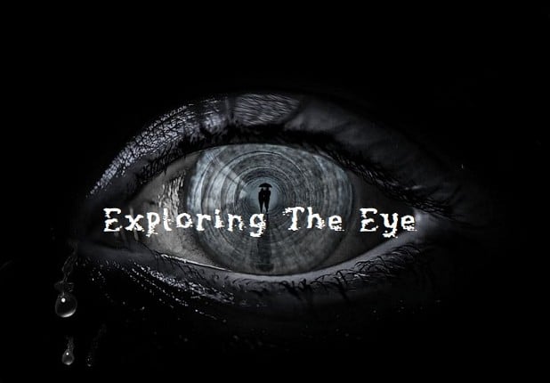 Exploring the Eye Game Cover