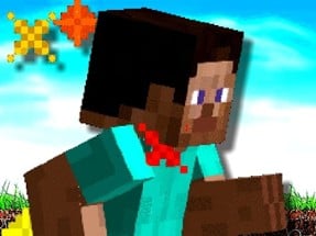 Run Minecraft Run Image