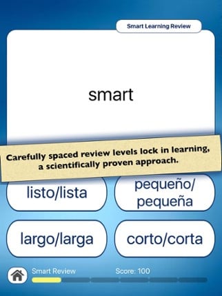 Spanish Vocabulary Practice Image