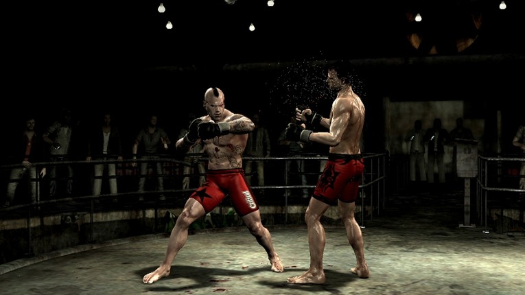 Supremacy MMA Image