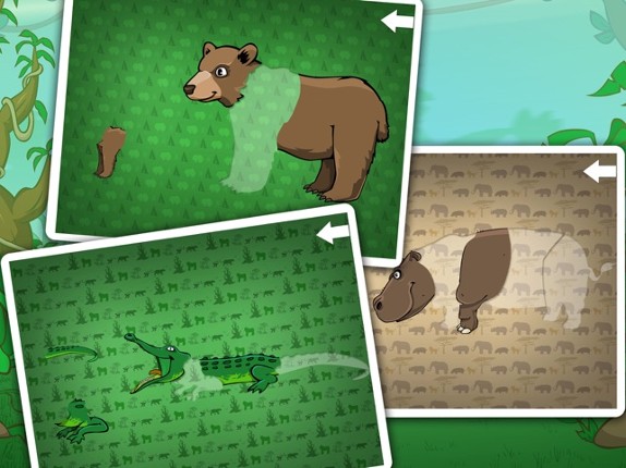 Wild animals in the forest, the jungle and the savannah Image