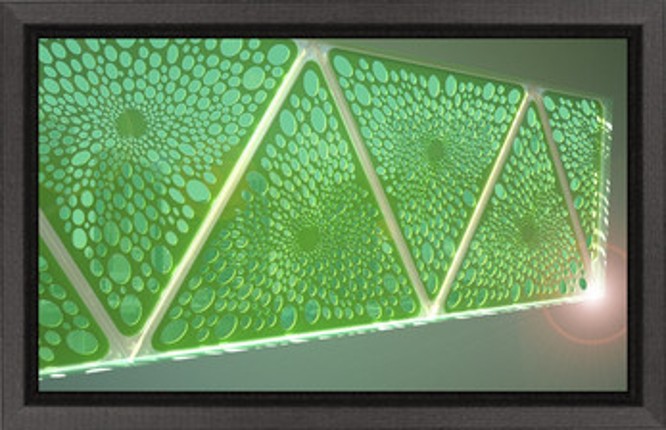 Bioimpresionismo Image