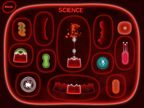 Dysbiosis Image