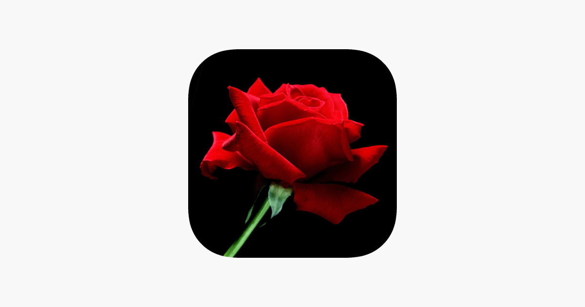 Games like Fairytale Mosaics. Beauty and the Beast's mosaic 2