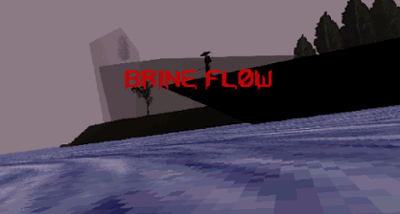 Brine Flow Image