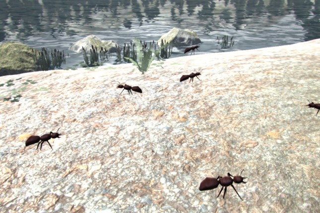 Leisure Town screenshot