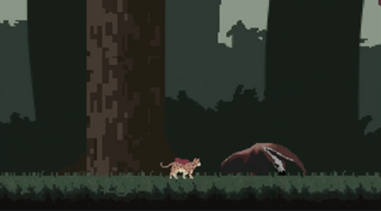 Maracajá (2022) screenshot