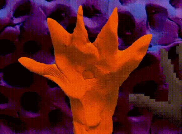 Stones of Flesh screenshot