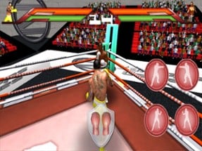 Virtual Boxing 3D Game Fight Image