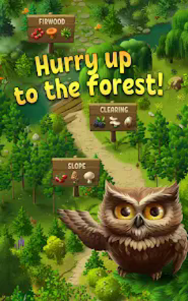 Forest Bounty — collect & cook screenshot