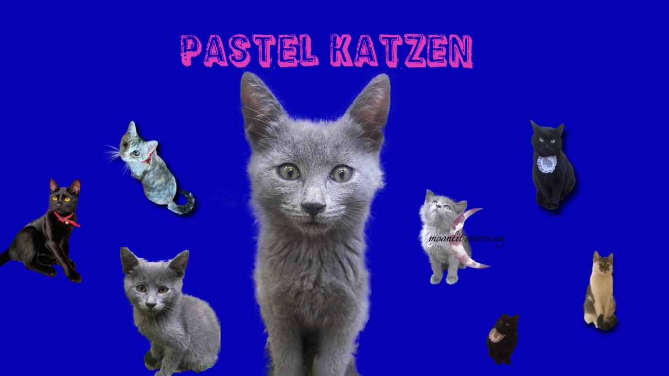 Games like Pastel Katzen