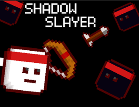 Shadow Slayer Image