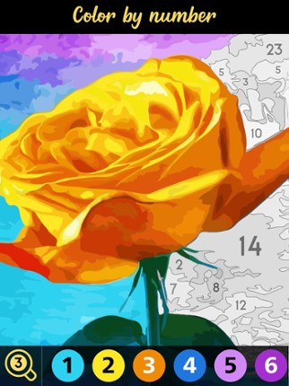 Oil Painting | Color by Number Image