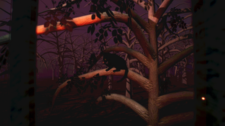 The Fifth Ritual This Week Image