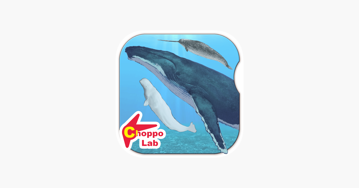 Games like Whales & Dolphins of the World -Simple Pictorial Book Kids Game -