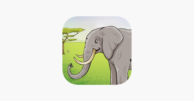 Wild animals in the forest, the jungle and the savannah Image