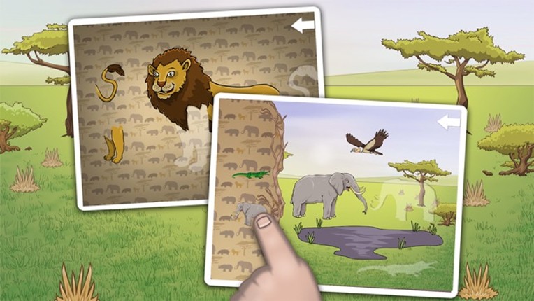 Wild animals in the forest, the jungle and the savannah Image