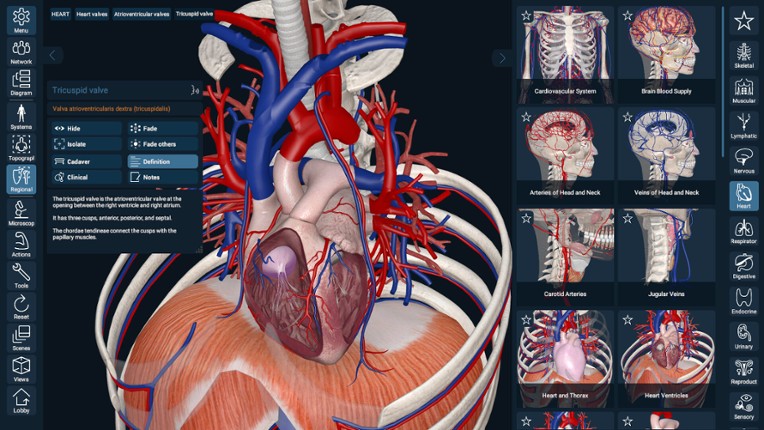 3D Organon screenshot