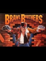 Brawl Brothers Image